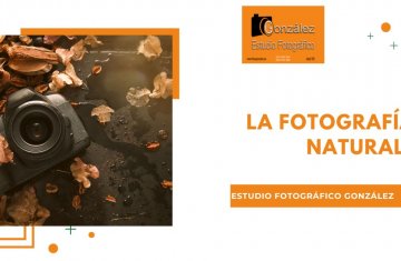 La Fotografía de Naturaleza: Consejos para Capturar la Belleza del Mundo Natural